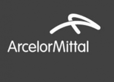 VEGA DO SUL - ARCELOR MITTAL